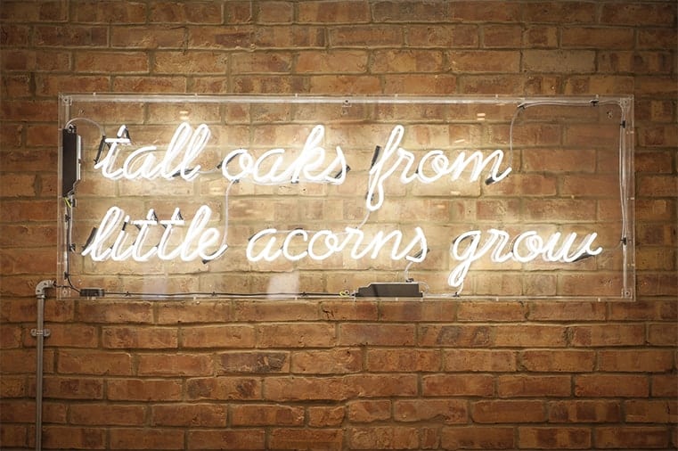 Light sign which displays "tall oaks from little acorns grow"
