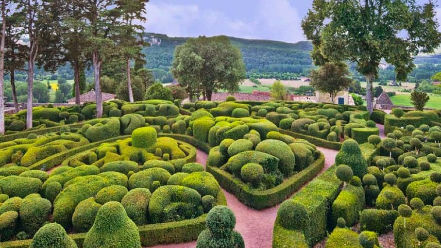 Path with detailed decorative hedges surrounding the path