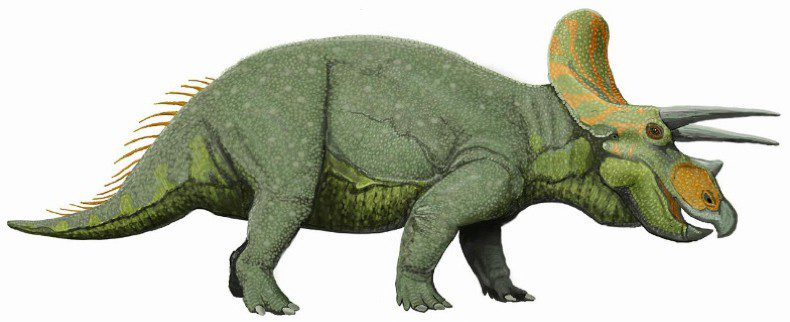 Image of a Triceratops