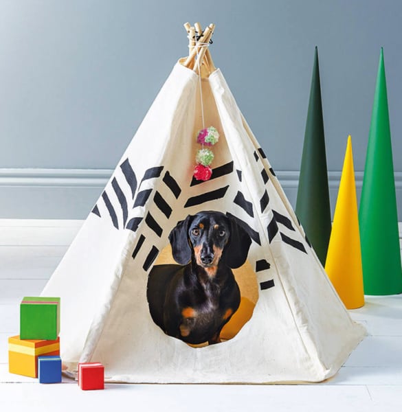 Dog tent