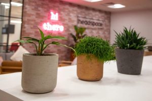 Headspace-Southampton-20-1024×683[1]